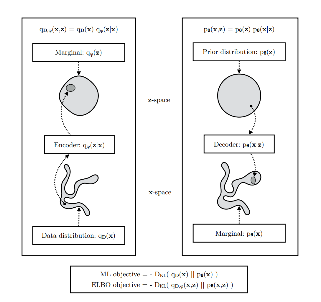 ELBO and Maximum Likelihood Objectives in VAE. This image illustrates the difference between the Maximum Likelihood (ML) objective and the Evidence Lower Bound (ELBO) objective in the context of a Variational Autoencoder (VAE), highlighting the roles of the encoder and decoder in the data and latent spaces.